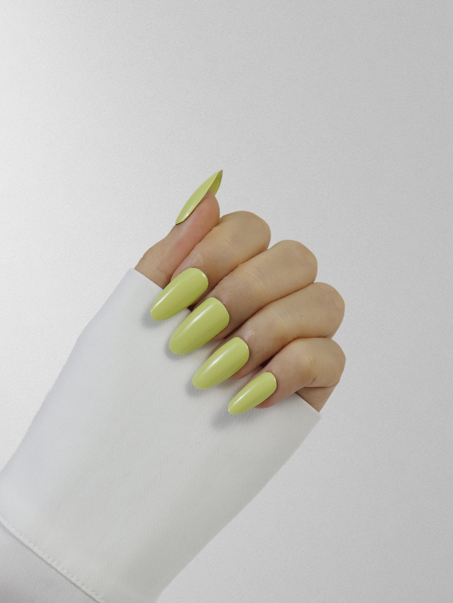 Avocado Smoothie